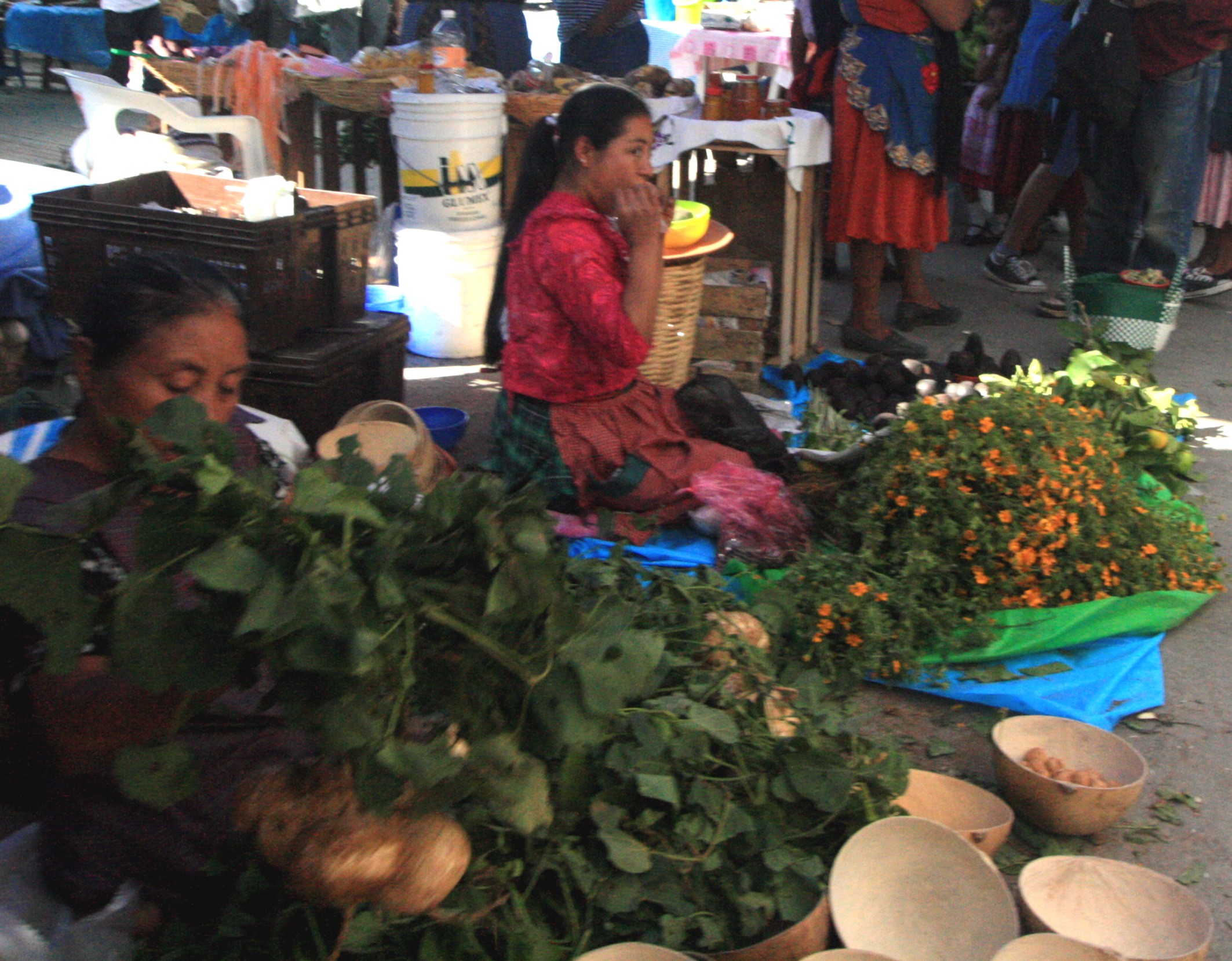 Mercado del dia de muertos en Tlacolula, Jicamas, flores, mujer